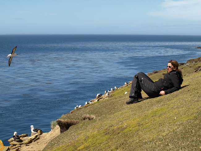 ../../Pictures/241209/037 blackbrowded Albatross.JPG